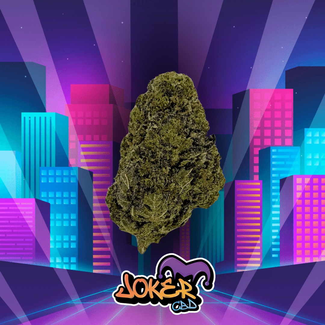 CALI ZUSHI - JOKER CBD