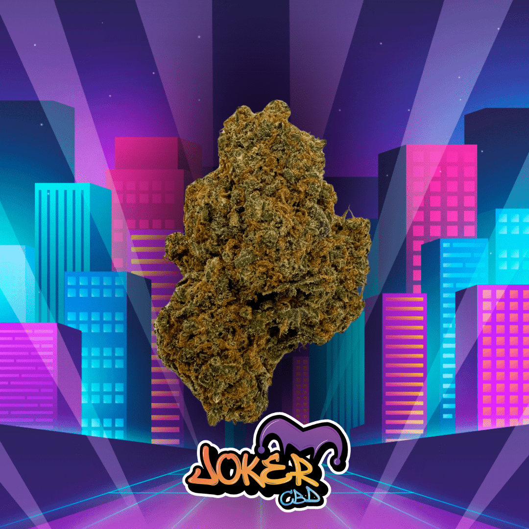 COOKIE KUSH HYDRO - JOKER CBD