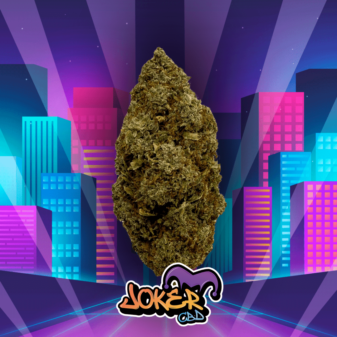 CRITICAL 2.0 - JOKER CBD