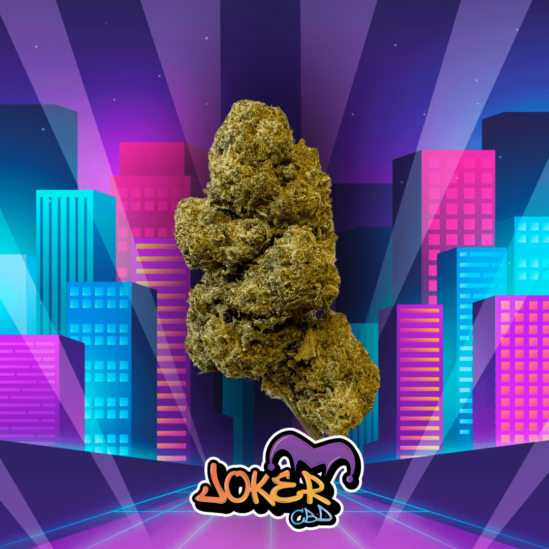 GP4 HYDRO - JOKER CBD