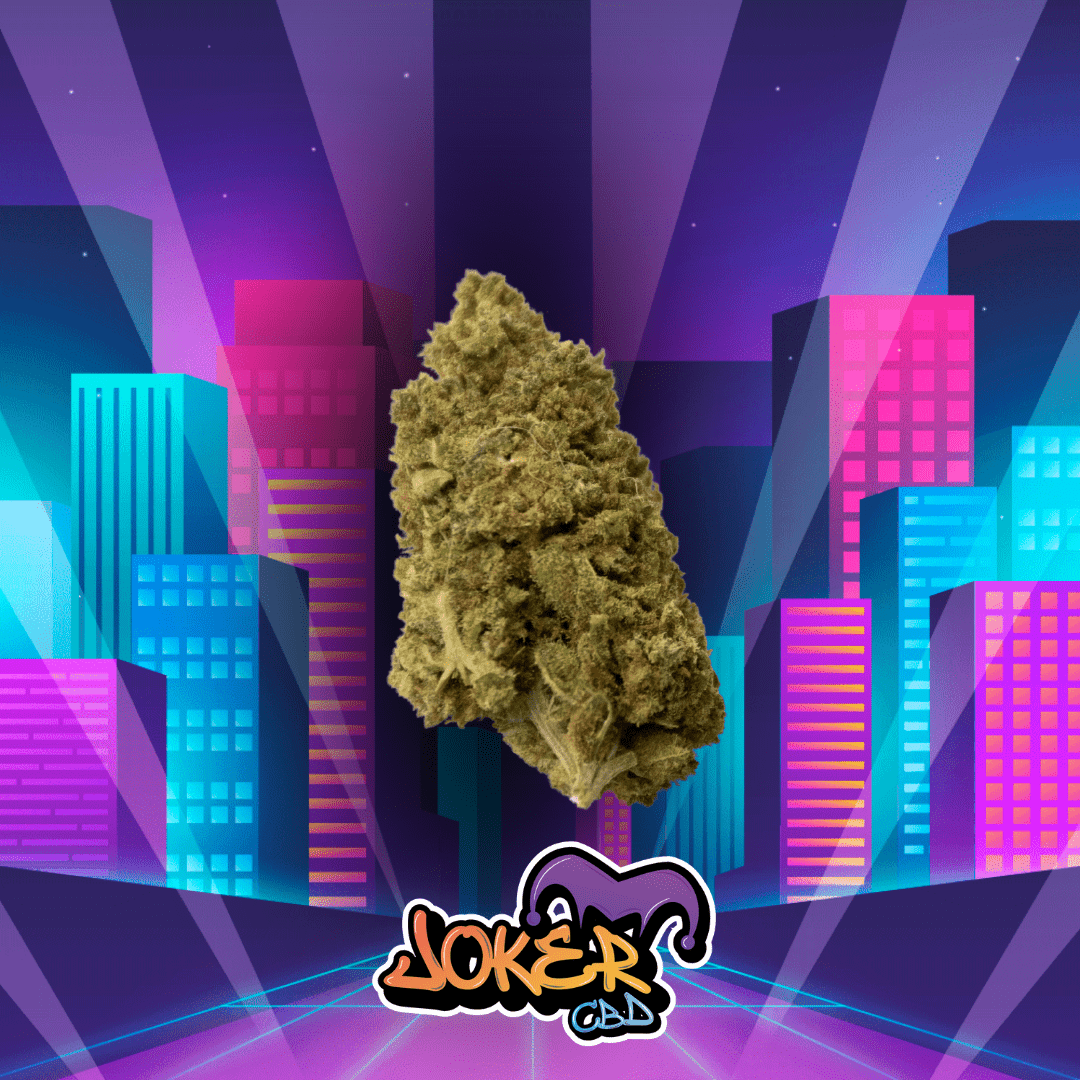 JACK HERER - JOKER CBD