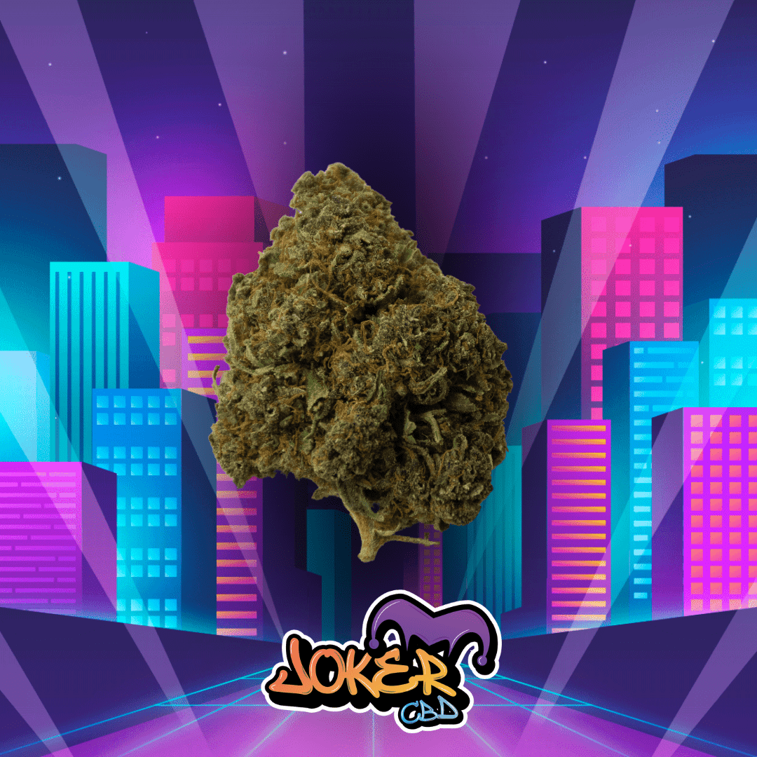Pack Découverte Fruité 10 variétés x 1Gr - JOKER CBD