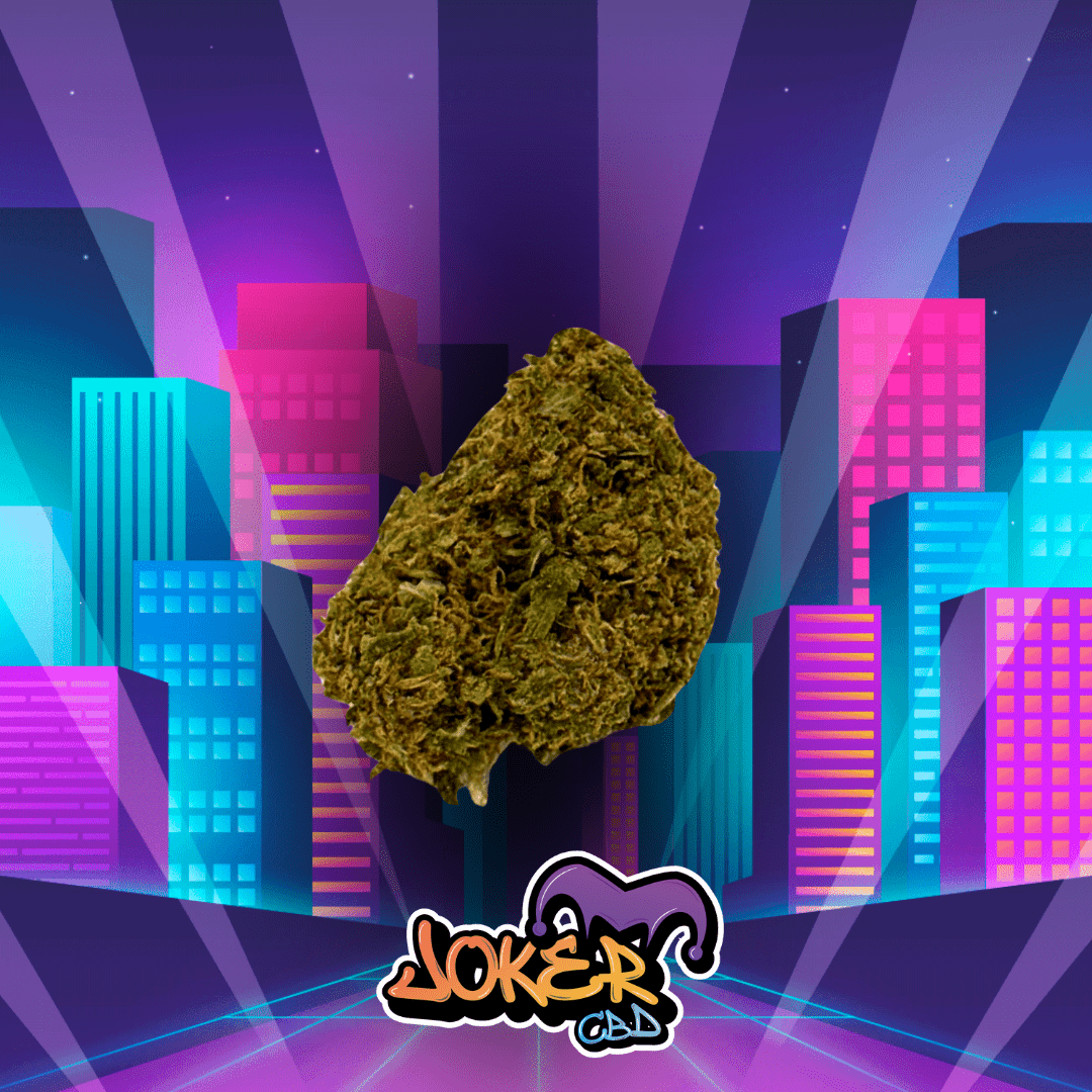 RUNTZ - JOKER CBD