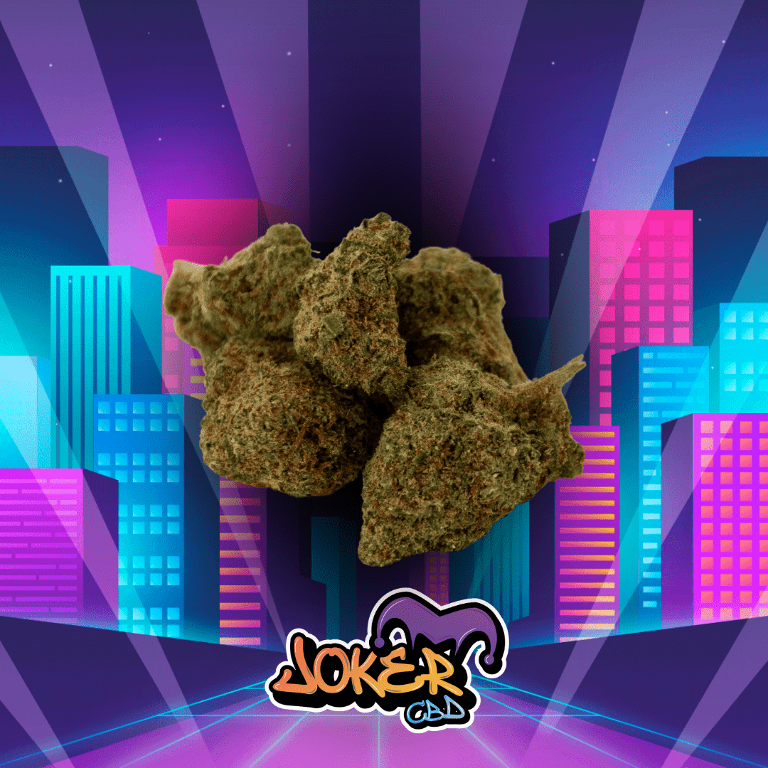 SMALL BUD CALI - JOKER CBD