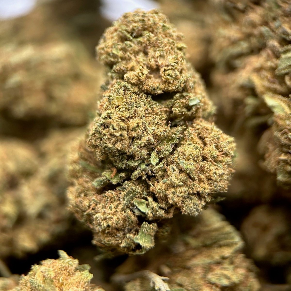 STRAWBERRY BIO - JOKER CBD