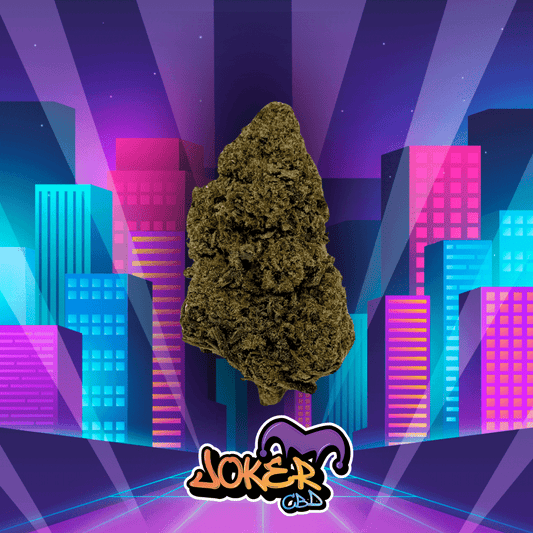 Cali Blue Runtz - JOKER CBD