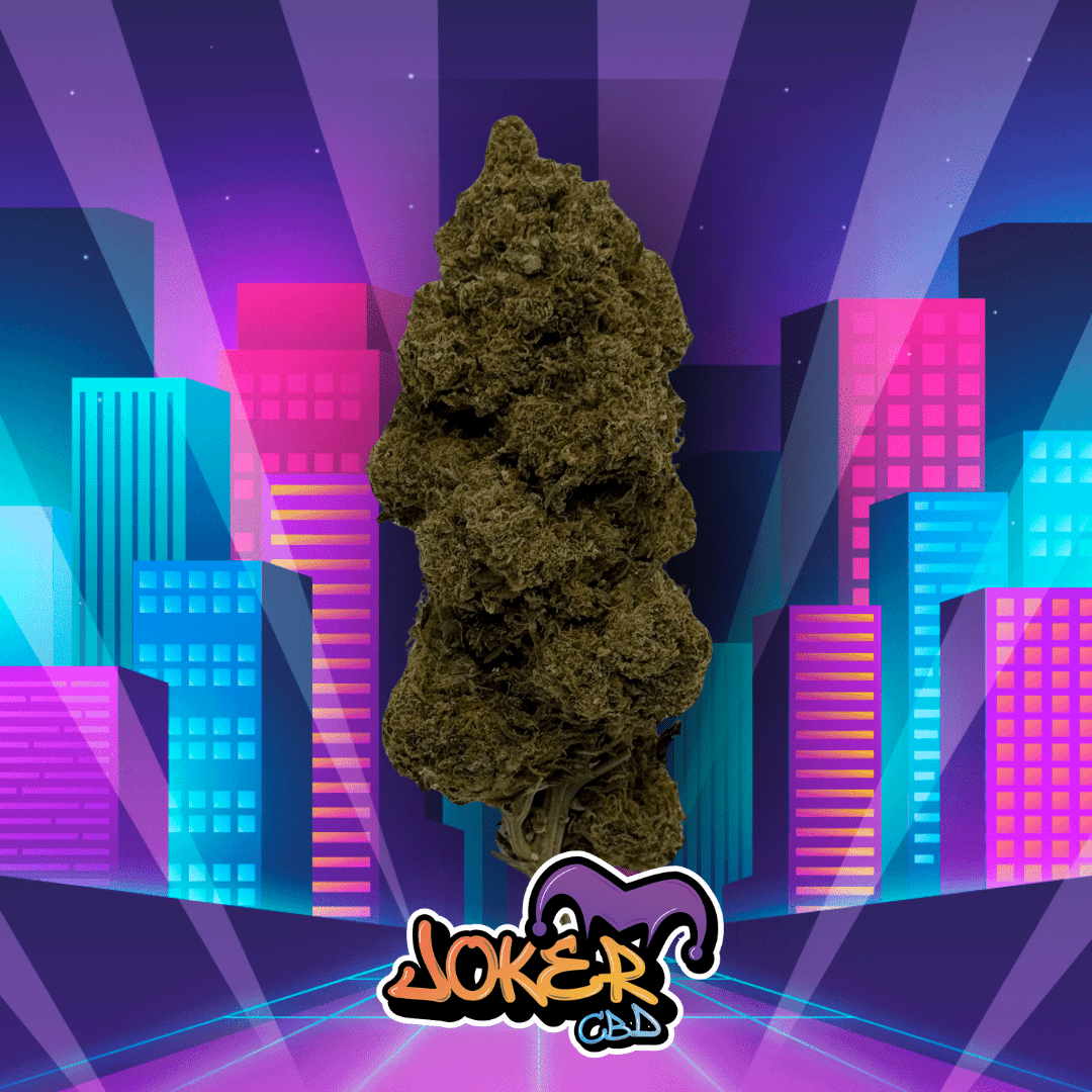 Cali Gusher - JOKER CBD