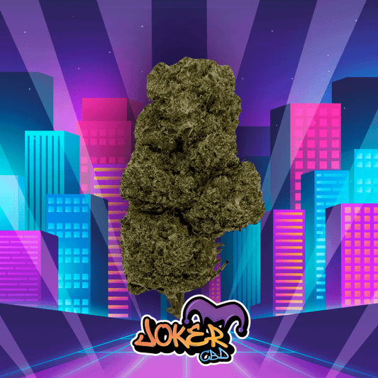 Cali RS11 - JOKER CBD