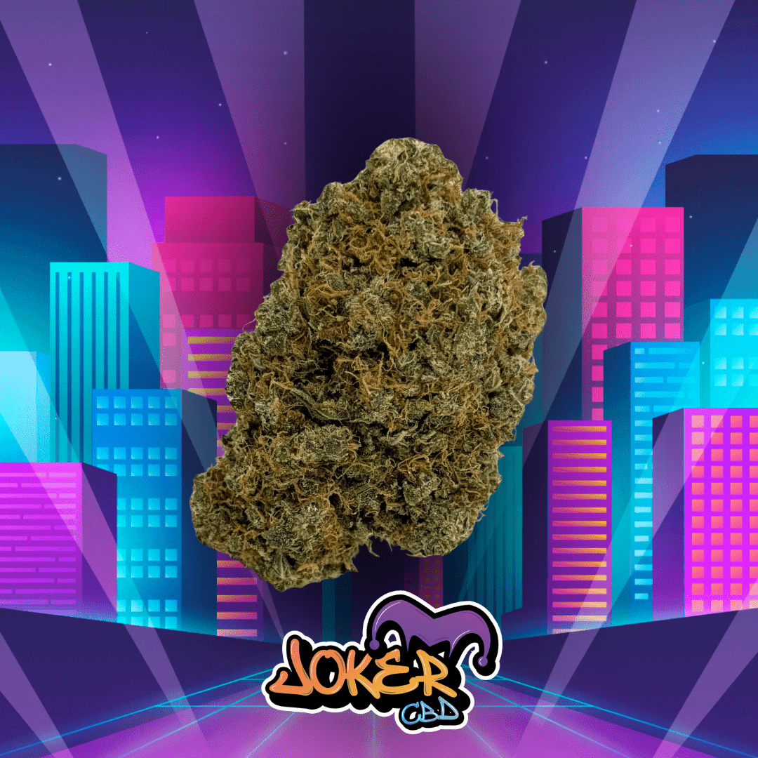 Moby Dick - 10.4% CBD - JOKER CBD
