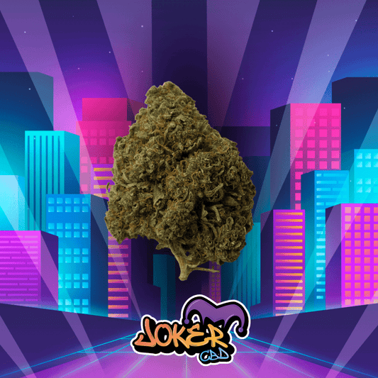 Pack Découverte Fruité 10 variétés x 1Gr - JOKER CBD
