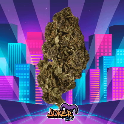 PURPLE LEMONADE - JOKER CBD