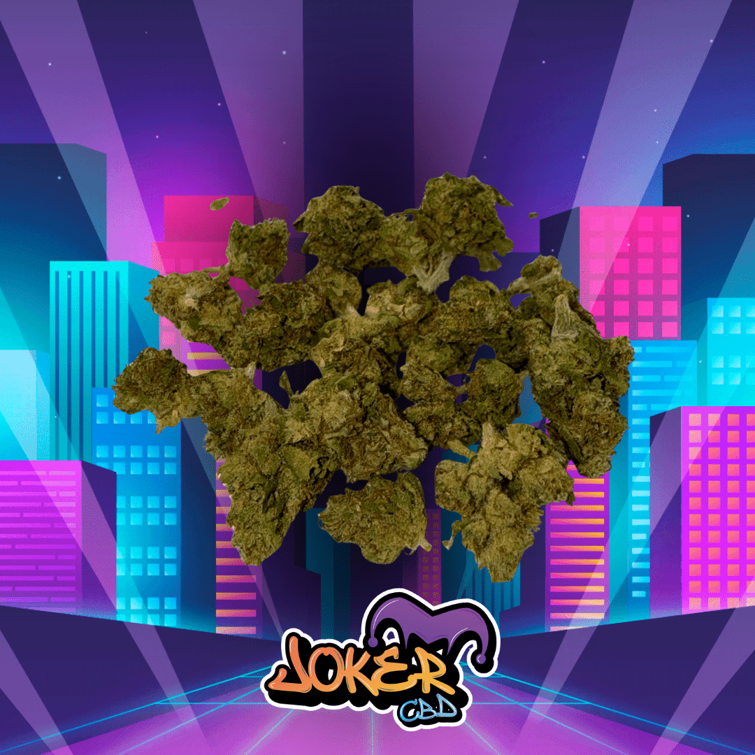 Small Bud Lemon Cookie - 9% CBD - Joker CBD - JOKER CBD