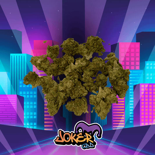 Small Bud Lemon Cookie - 9% CBD - Joker CBD - JOKER CBD