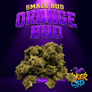 Small bud Orange Bud