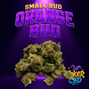 Small bud Orange Bud