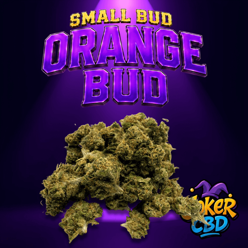Small bud Orange Bud