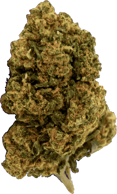 Feuille de CBD Feuille de CBD France
