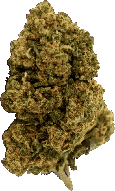 Feuille de CBD France