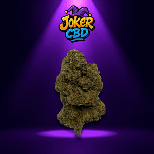 Cali Gusher