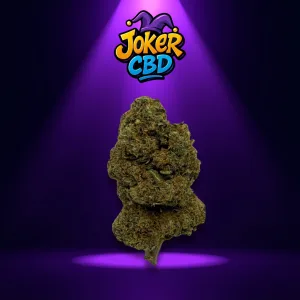 Cali Gusher