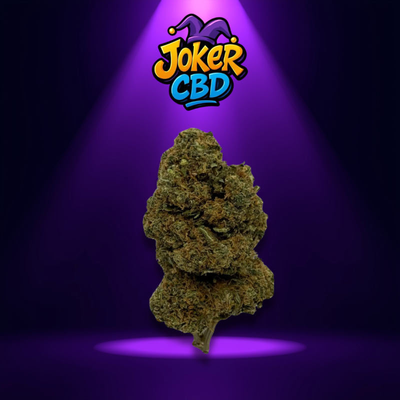 Cali Gusher