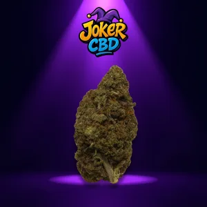 Cali Plutonium Legendary