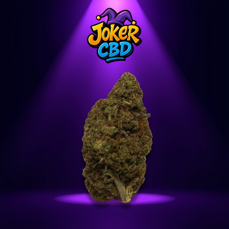 Cali Plutonium Legendary