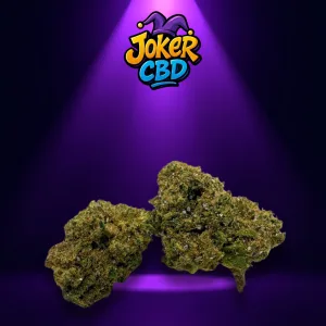 Tangie Tonic CBN