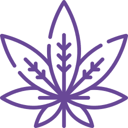 CBD Orléans