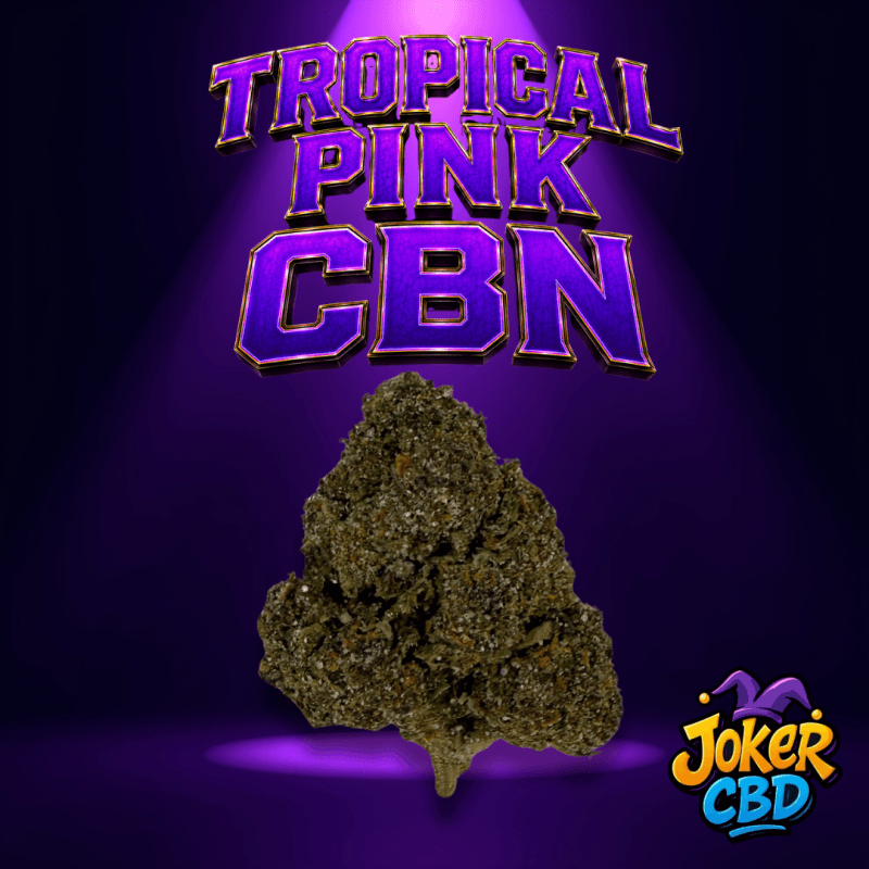 Tropical Pink CBN