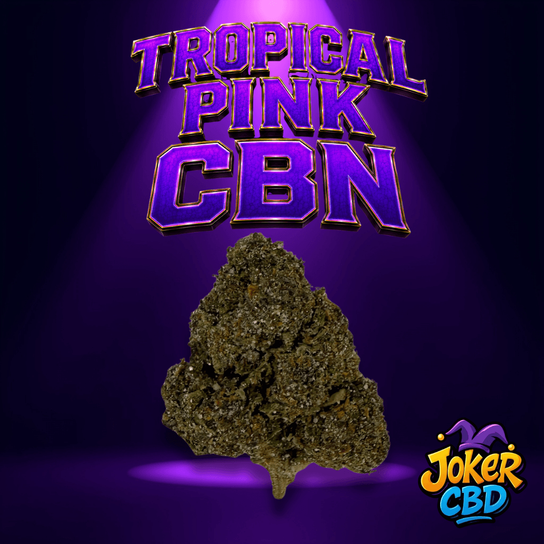Tropical Pink CBN